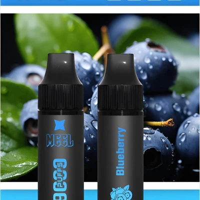 MEEL 9000 Puffs 拋棄式電子菸 拋棄式電子煙 產品實拍 2
