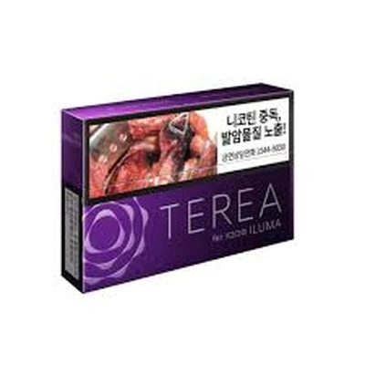 韓版 TEREA 韓 T 加熱菸 加熱菸主機 產品實拍 3