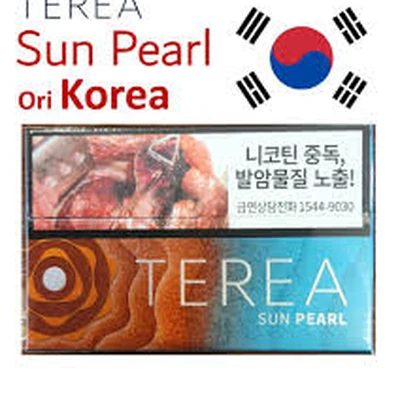 韓版 TEREA 韓 T 加熱菸 加熱菸主機 產品實拍 2
